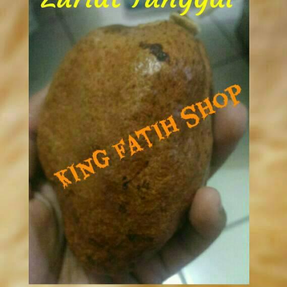 

☆ Buah Zuriat Tunggal Mesir 1 Kg (Untuk dan Penurun Darah Tinggi) ☇