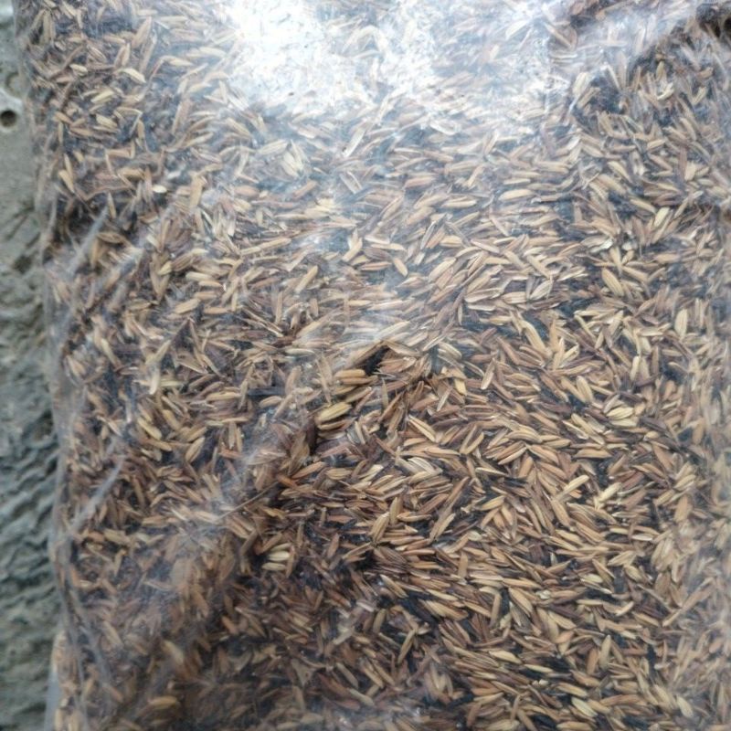 media tanam sekam oven