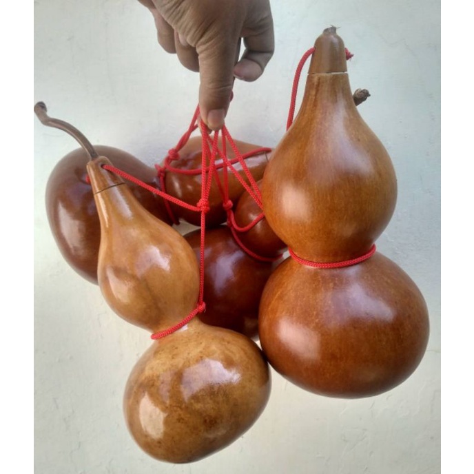 hiasan labu botol dewa mabuk, gourd bottle