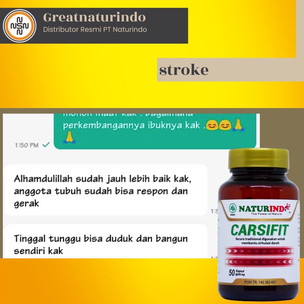 Obat  Stroke Struk Herbal Bells Palsy Ringan Jamu Penyumbatan Pembuluh Darah Naturindo