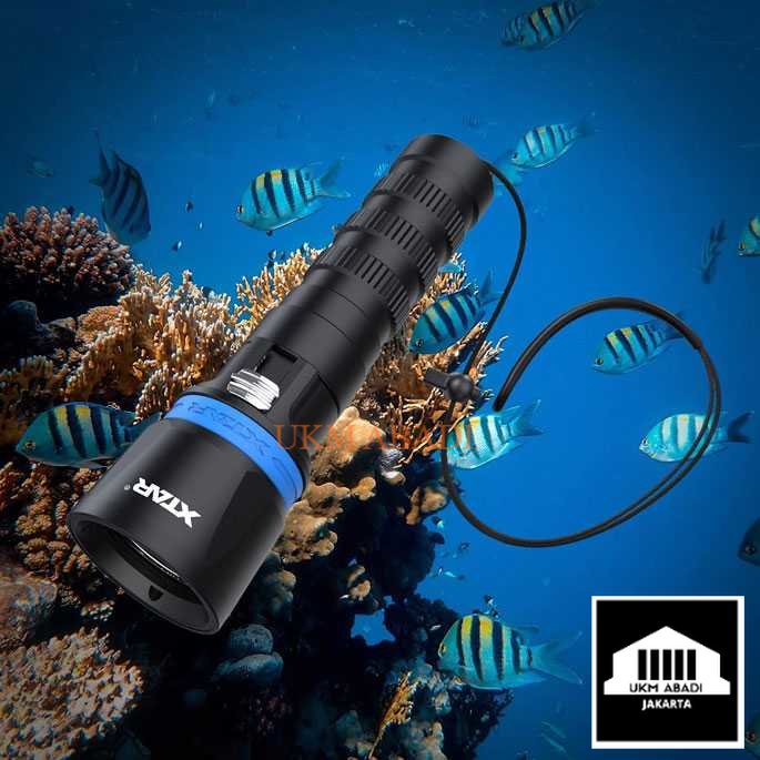 Senter Menyelam Diving Waterproof LED CREE XP L2 1000 Lumens DS1