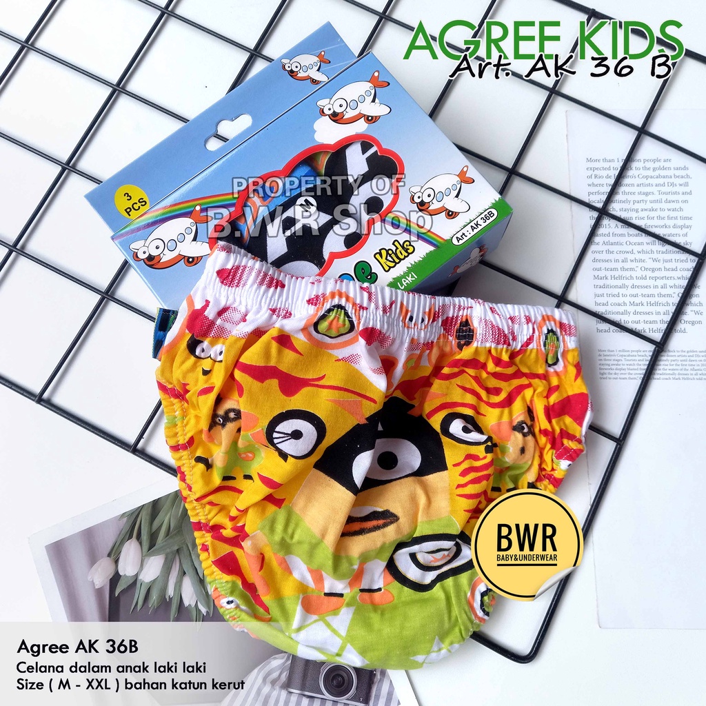 [ 3pc ] CD Agree Kids AK 36 B / Celana Dalam Anak Laki laki Karet Kerut Motif Random | Bwr