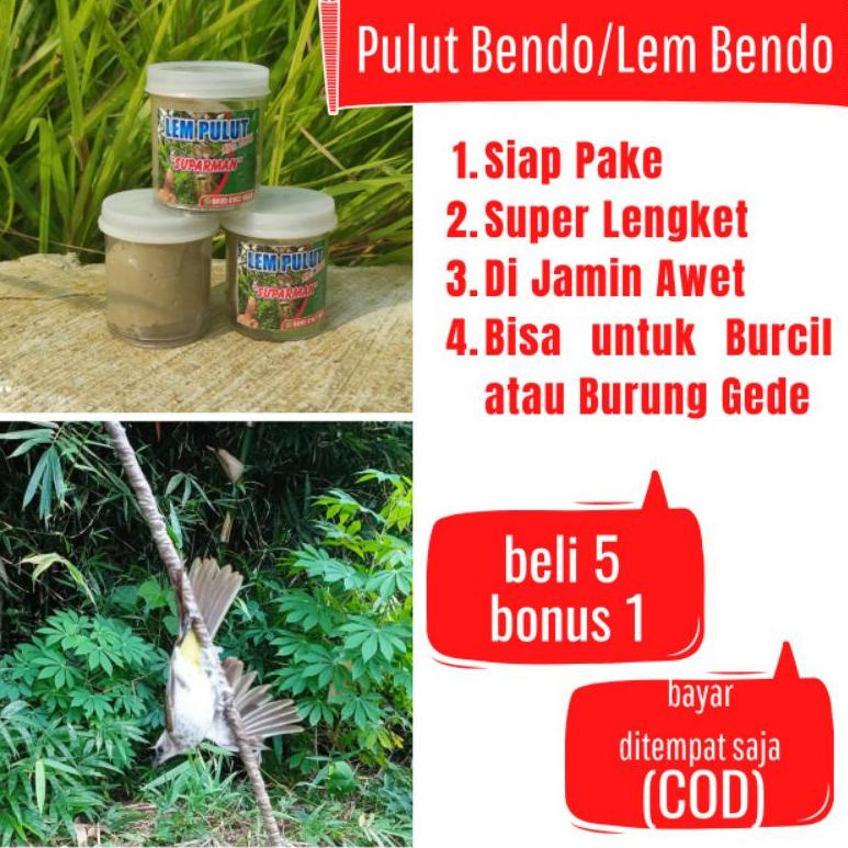 Terlaku.../ PULUT BENDO GETAH BENDO LEM BENDO PULUT LEM GETAH BENDO LEM JEBAK BURUNG GETAH JEBAK BUR