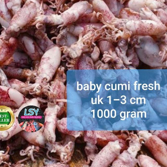 

™ ikan asin baby cumi / cumi asin rebus 78 berat 1kg ❊