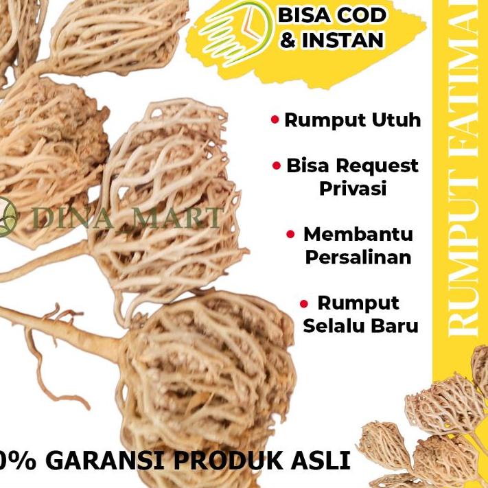 

Jangan Ragu Order RUMPUT FATIMAH ASLI ARAB RUMPUT FATIMAH UNTUK PERSALINAN RUMPUT FATIMAH ORIGINAL RUMPUT FATIMAH ARAB 6UU;