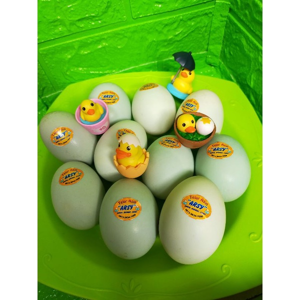 

Telur Asin Matang Gurih Fresh