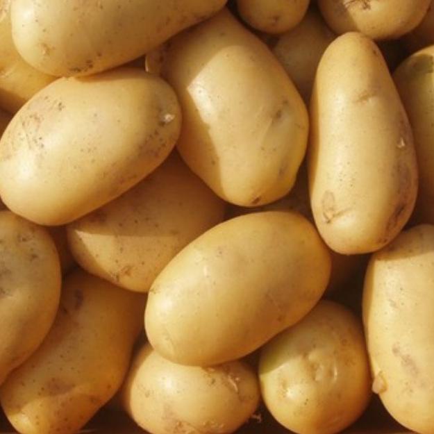 

[KODE 77] PASAR ONLINE MURAH - KENTANG KUNING 500gr