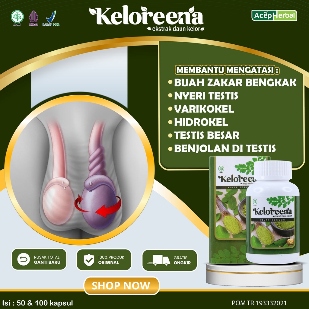 Obat Buah Zakar Bengkak Sebelah Kanan Kiri Nyeri Testis Varikokel Hidrokel Varises Testis Besar Saki