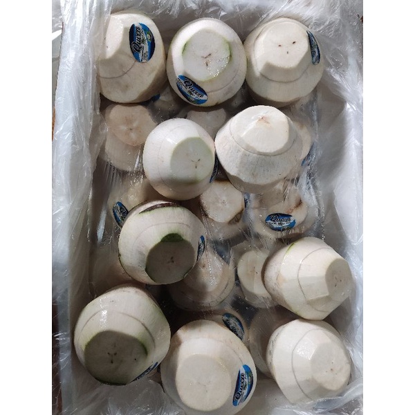 

Degan Jelly per biji (kecil) merk Queen READY