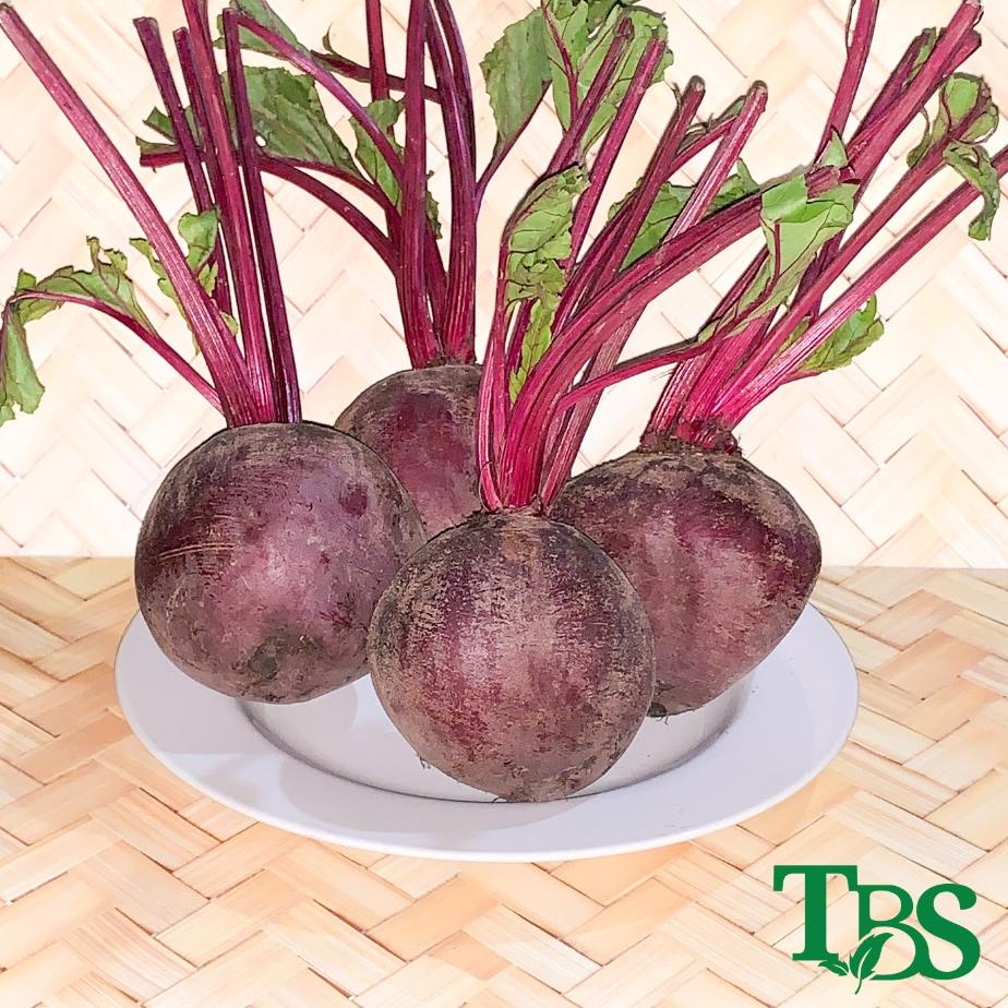 

ORIGINAL% BUAH BIT FRESH | BEET ROOT