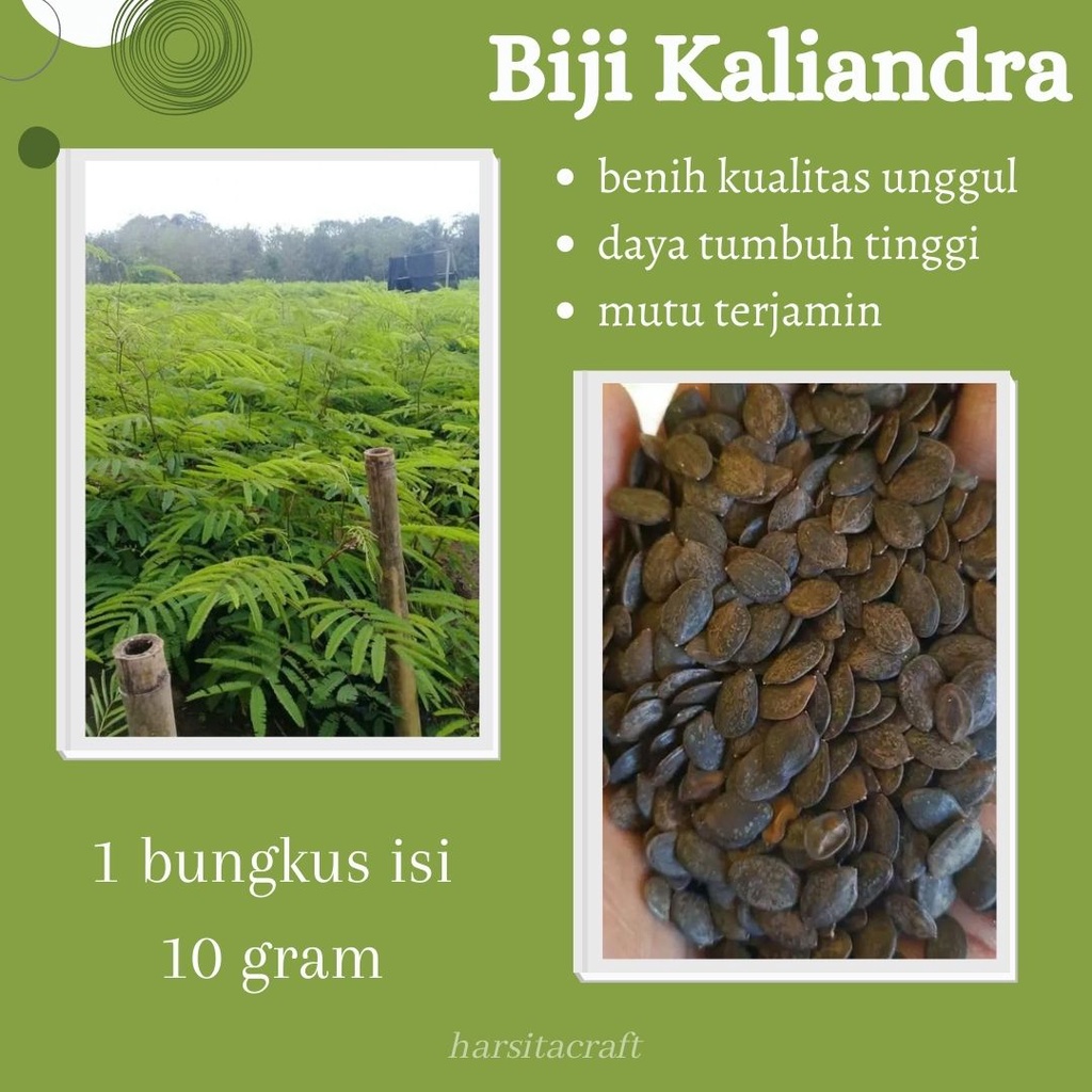 BIJI KALIANDRA, BIBIT KALIANDRA PAKAN TERNAK