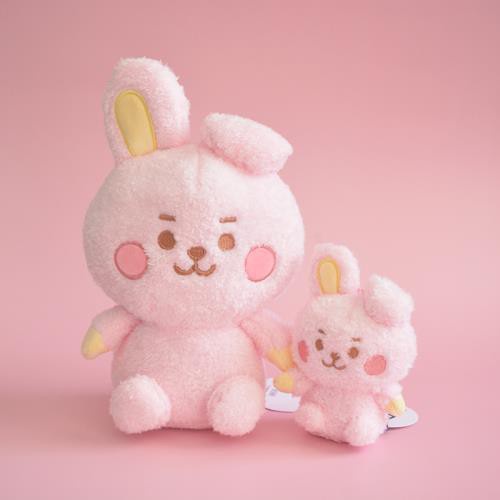 Gantungan Kunci Boneka Plush KPOP  TATA COOKY CHIMMY KOYA