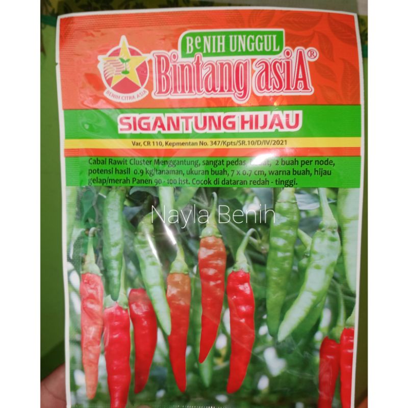 Benih Unggul Cabai Rawit Hijau SIGANTUNG HIJAU