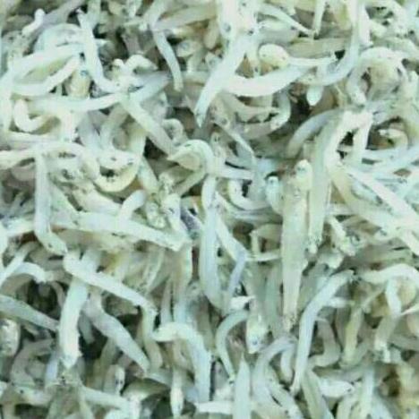 

▼ Teri Toge No.1 Medan 500gr ♂