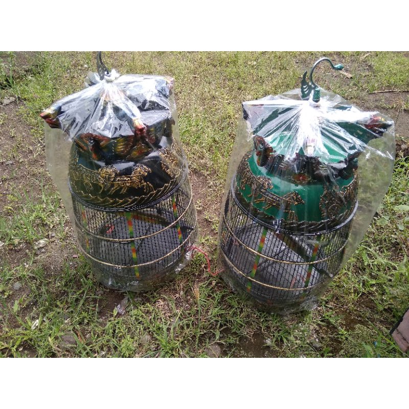 Sangkar Perkutut Fiber Model Kates atau Jambu