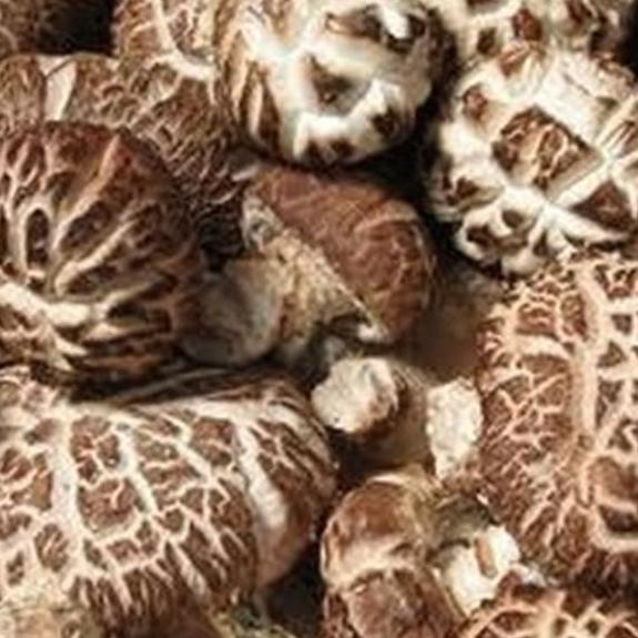 

♩ r Shitake Hioko Xiang Dried Gu Shitake Mushroom r Shitake Kering 500gr ➱