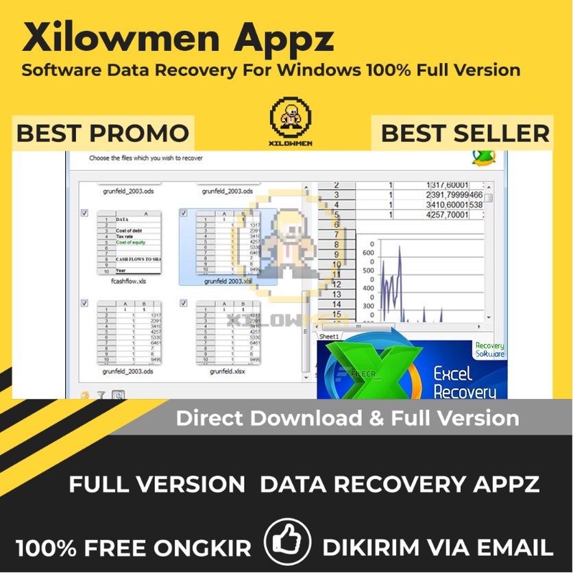 [Full Version] RS Excel Recovery Pro Lifetime Data Recovery WIN OS