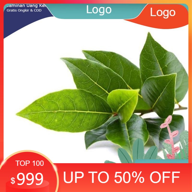 

Daun salam muda fresh 50gram