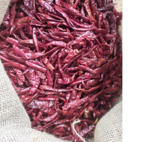 

✯ Cabe TEJA Merah Kering 1kilogram Dijamin Pedas Dan Fresh ➬