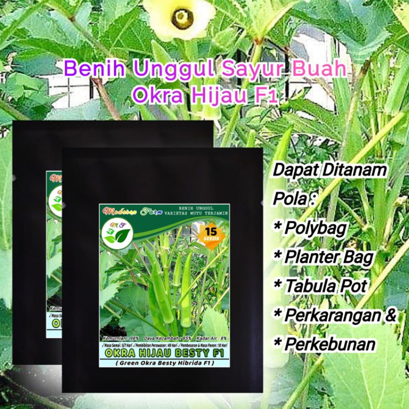 BENIH OKRA HIJAU BESTY F1