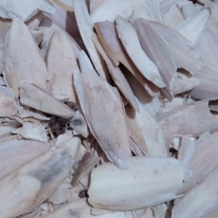 ASINAN BURUNG TULANG SOTONG 250 GRAM KONDISI PATAH PAKAN BURUNG LOVEBIRD PERKUTUT TEKUKUR