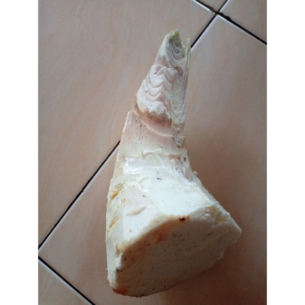 

Rebung bambu mentah.200gram masih segar