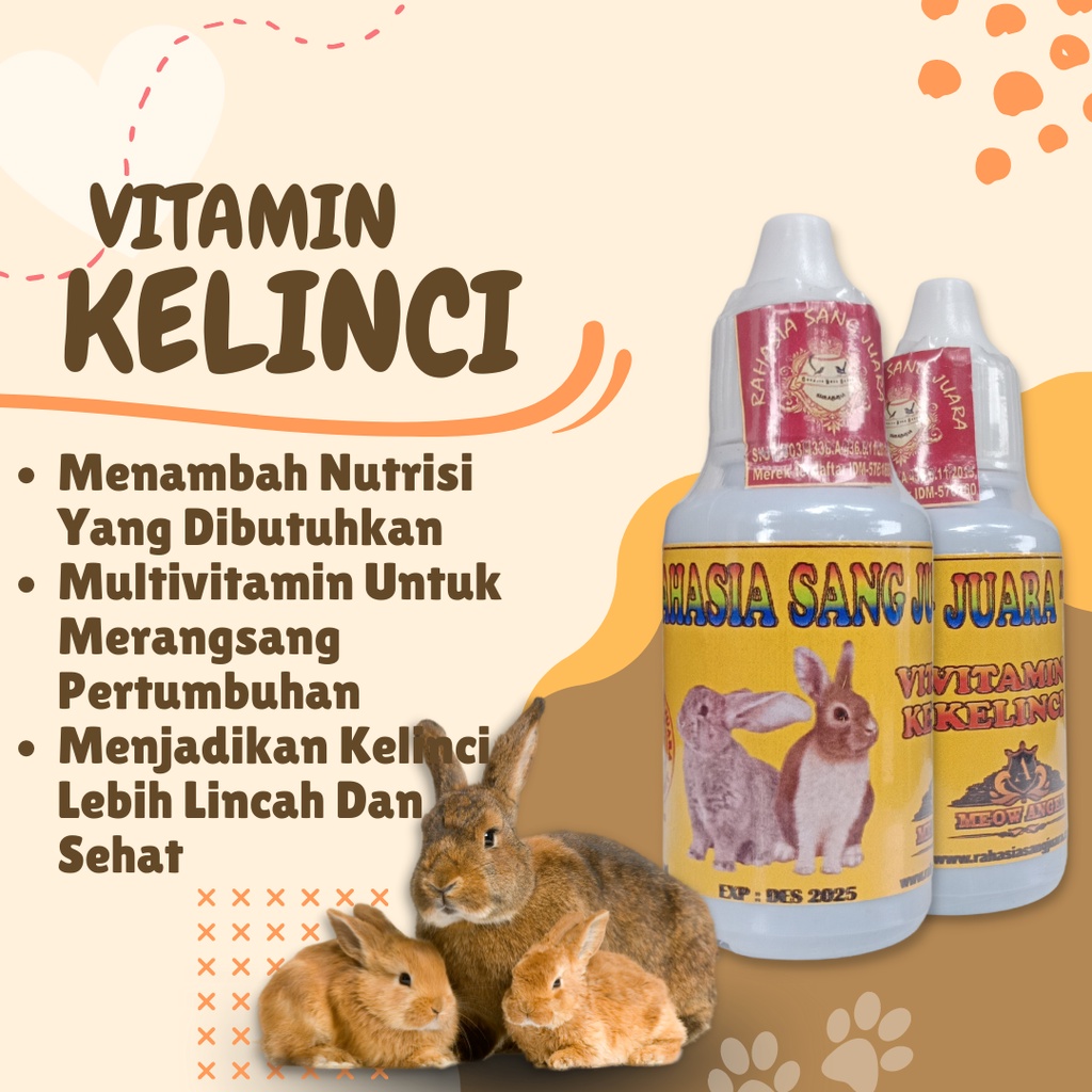 VITAMIN KELINCI UNTUK BULU, KESEHATAN, DAN NAFSU MAKAN