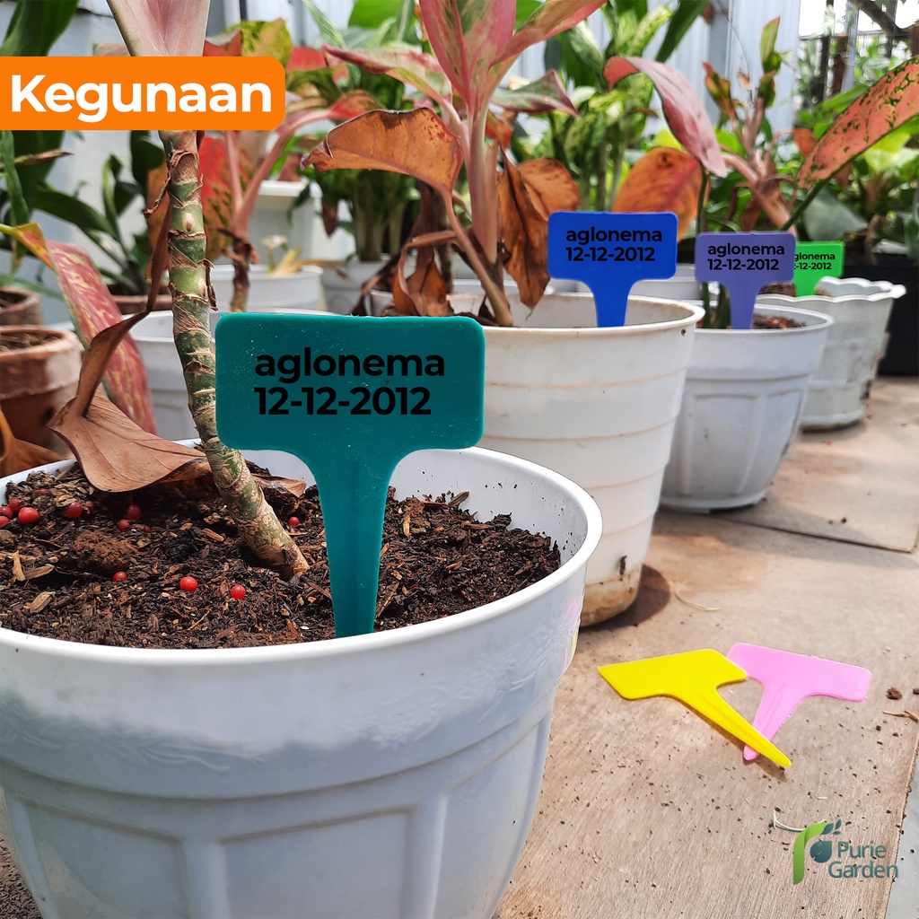 Label Penanda Tanaman Name Tag