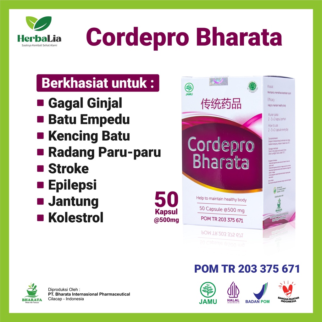 CORDEPRO BHARATA | obat stroke radang epilepsi gagal ginjal