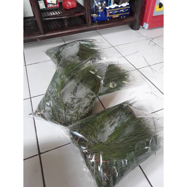 

[ bisa cod ] Daun Pinus Segar 1 Kg Murah [ Fresh produk ] - Termurah