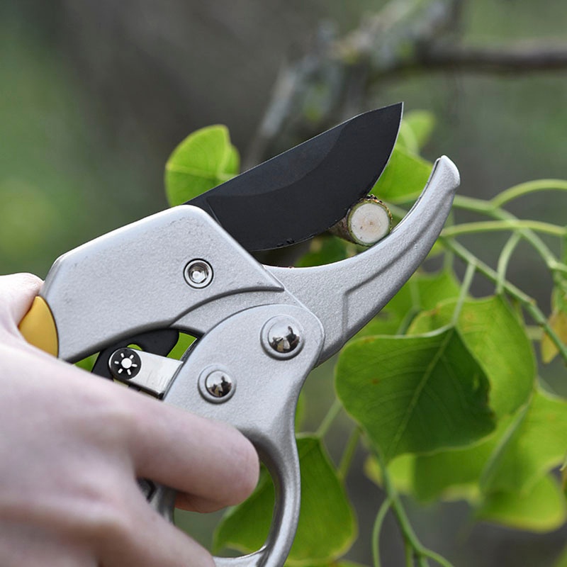 Pruning Shears Gunting Dahan Bunga Ranting Stek Alat Potong Dahan Garden Scissors Gunting Taman