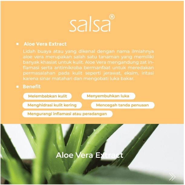 SALSA PAKET KULIT JERAWAT - 1 Acne Spot + 1 Facial Wash + 1 Hydrating Toner - Skincare Anti Jerawat