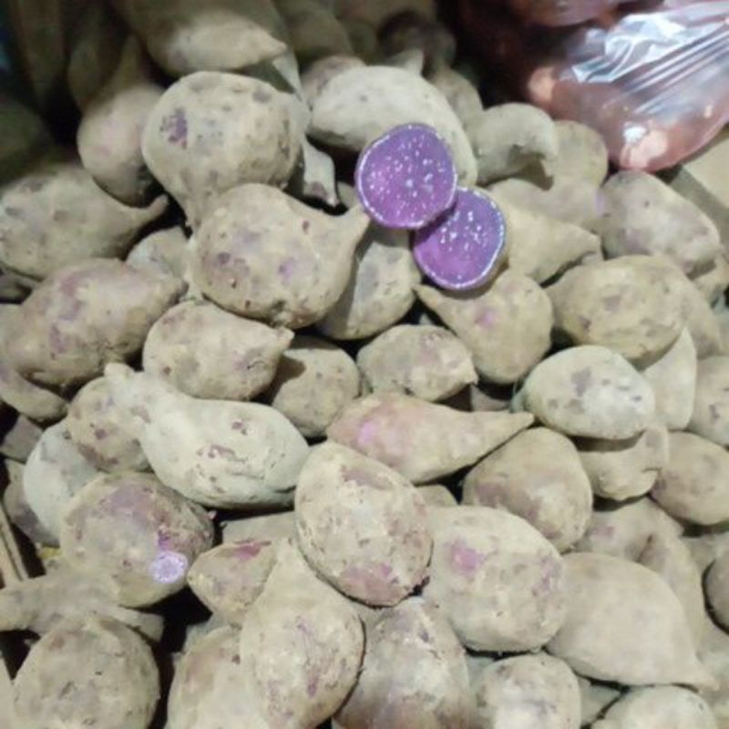 

Ubi Ungu 500g