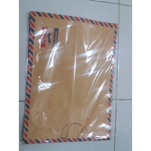 

AMLOP COKLAT TALI UKURAN FOLIO (ISI 10 PCS)