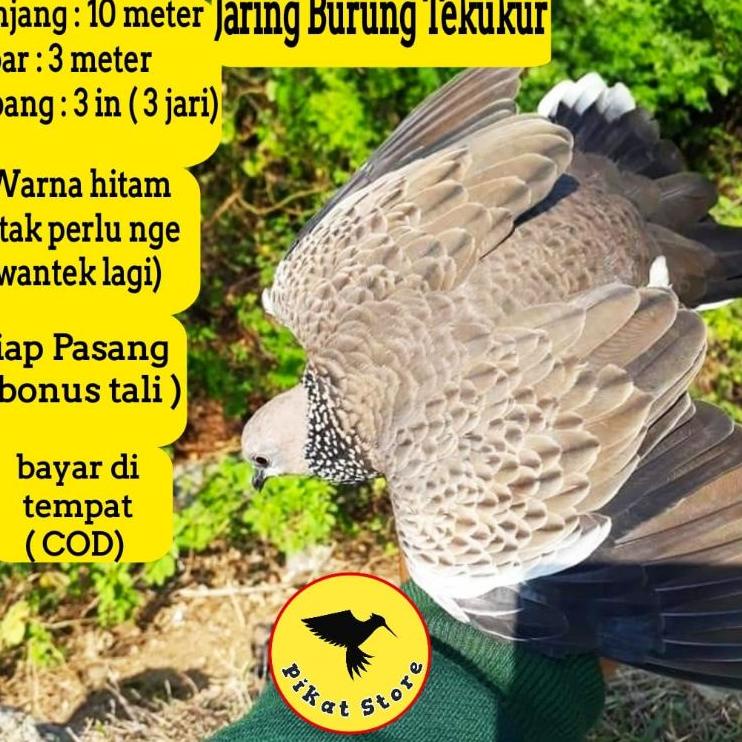 Pusat Irit JARING BURUNG TEKUKUR JARING MANUK DERKUKU JARING DEKUKU JARING TEKUKUR JARING BURUNG BES