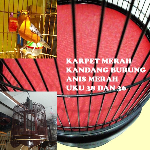 READY KARPET ANIS MERAH BULAT ALAS DASAR SANGKAR KANDANG BURUNG ANIS MERAH DIAMETER 40 CM 38 CM 36CM