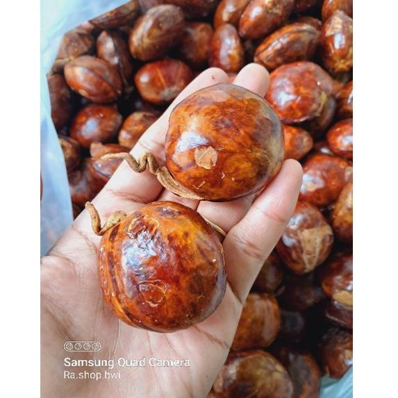 

❤ Jengkol Tua/jengkol punel berat 500gram PALING DICARI 21B