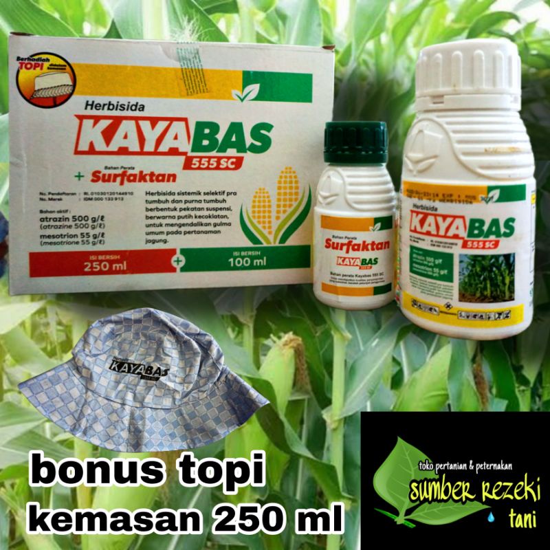 kayabas pestisida / racun rumput khusus jagung /khusus rumput jagung