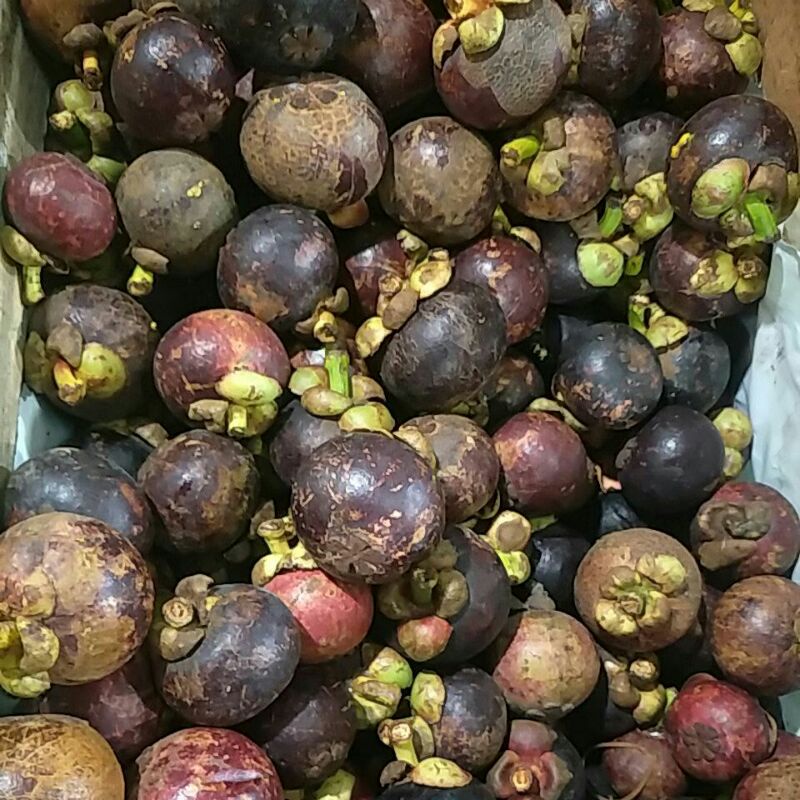 

Manggis 500g