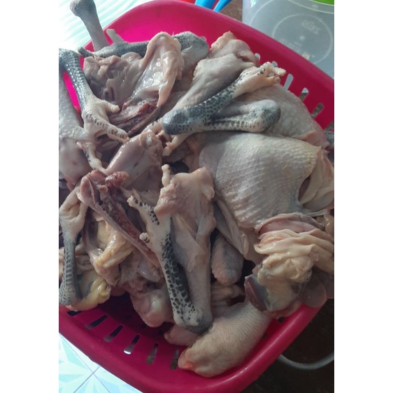 

1 Ekor petis ayam kampung