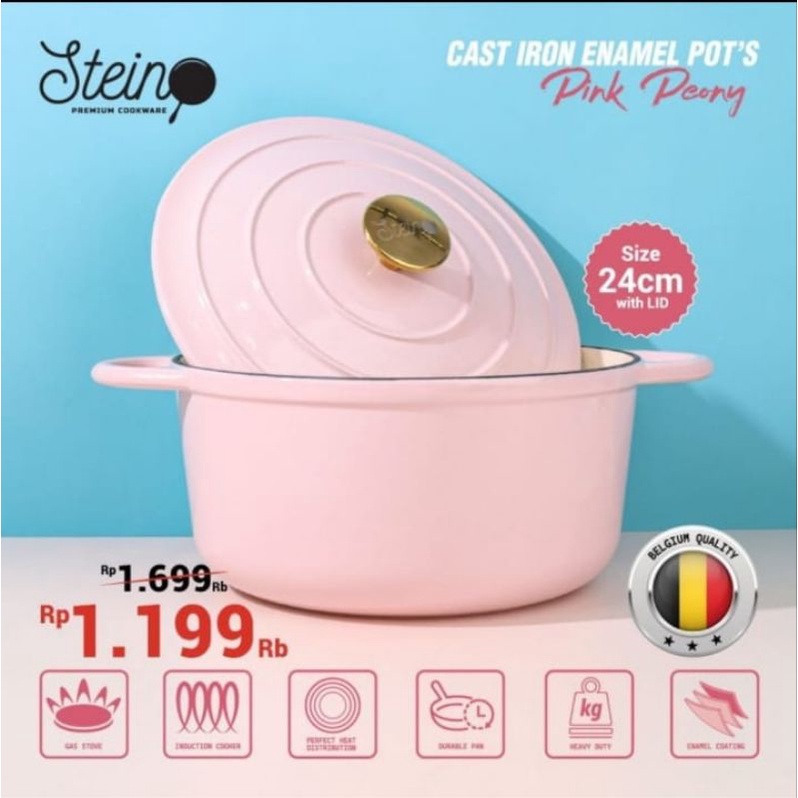 STEINCOOKWARE Stein Cast iron enamel pot Caserole 24 cm