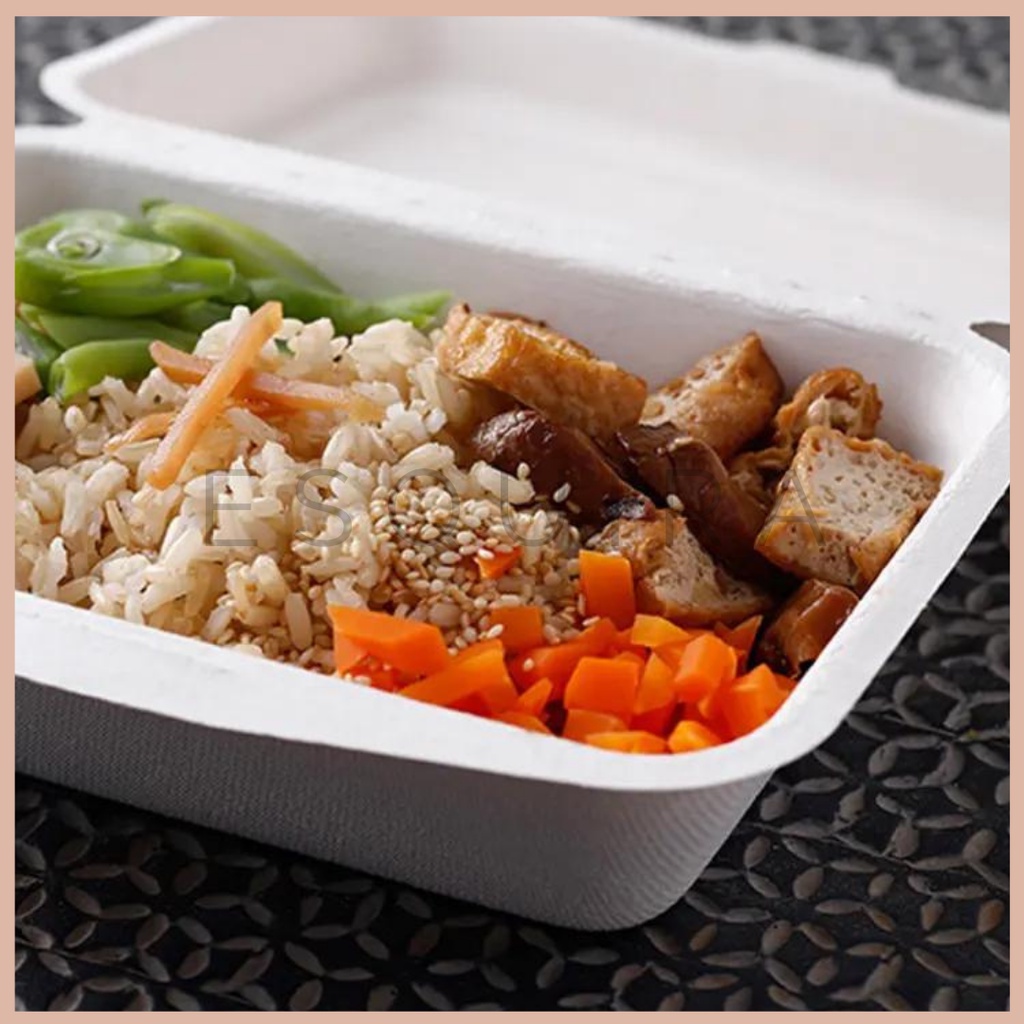 Bagasse Clamshell  / Mini Lunch Box /  Packaging makanan Serat Tebu 600 ml / 10 Pcs / B001