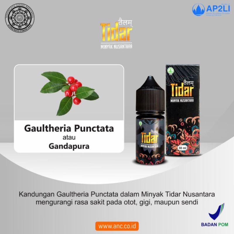 minyak tidar nusantara minyak pijat minyak urut