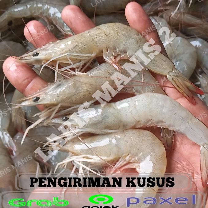 

Udang Peci Besar / Udang Peci Size Besar 500Gram