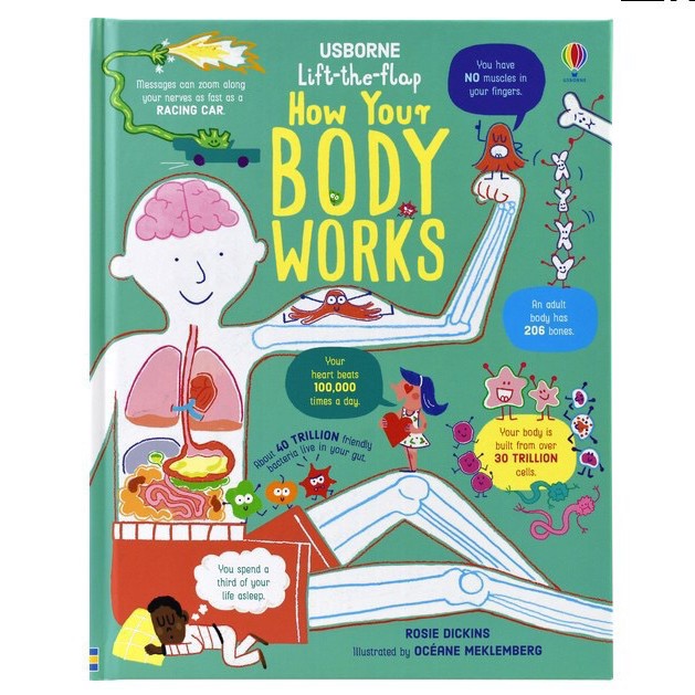 Terlaris Usborne How Your Body Works Buku Board Book
