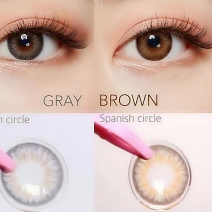 ◘ SOFTLENS PRINCESS SPANISH CIRCLE GREY / BROWN ( NORMAL & MINUS ) ☪