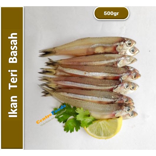 

Ikan Teri Fresh - Basah | 500gr [ Harga Per 0,5 Kg ]