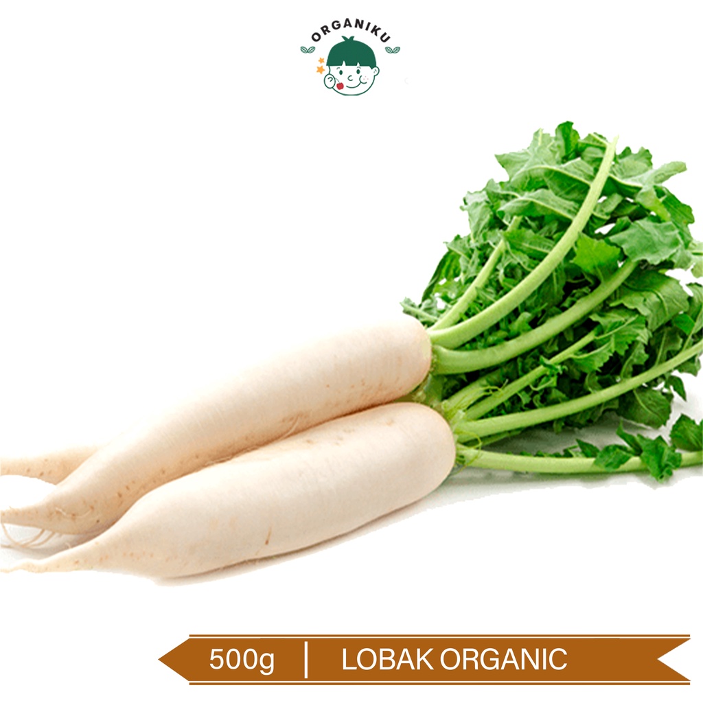 Lobak Organik 500g / Organic Winter Radish 500g