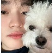 booked johnny misfit