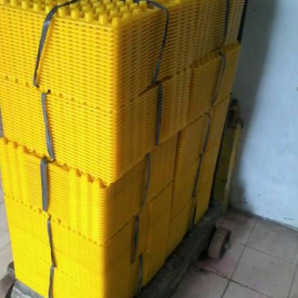 Dijamin Ori>/ Egg tray / tempat telur puyuh plastik